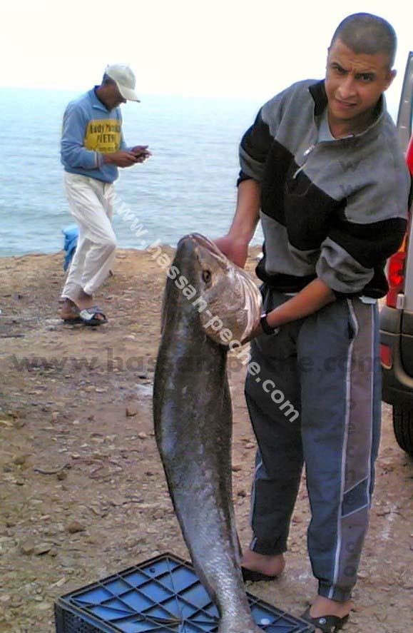 100aabboouu copie.jpg